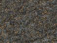 xm006666.gif