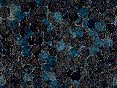 xm006665.gif