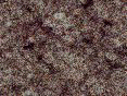 xm006664.gif