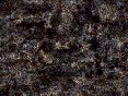 xm006660.gif