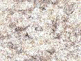 xm006659.gif