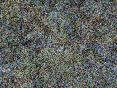 xm006656.gif