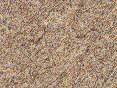 xm006654.gif