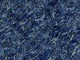 xm006653.gif