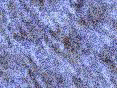 xm006649.gif