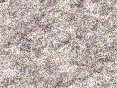 xm006648.gif