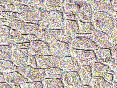 xm006647.gif