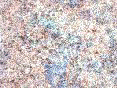 xm006646.gif