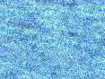 xm006645.gif