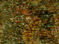 xm006640.gif