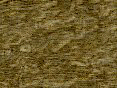xm006638.gif