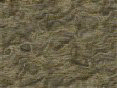 xm006637.gif