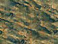 xm006635.gif
