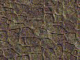 xm006632.gif