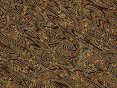 xm006631.gif