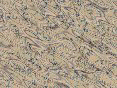 xm006630.gif