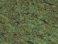 xm006628.gif
