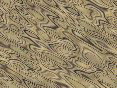 xm006624.gif