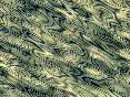 xm006623.gif