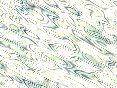 xm006622.gif