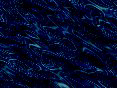 xm006621.gif