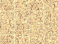 xm006619.gif