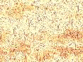 xm006618.gif