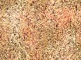 xm006617.gif