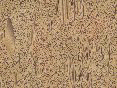xm006615.gif