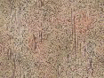 xm006614.gif