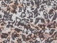 xm006612.gif