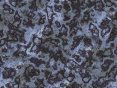 xm006611.gif