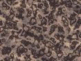 xm006610.gif