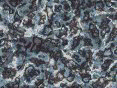 xm006607.gif