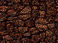 xm006606.gif