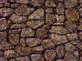 xm006605.gif