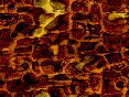 xm006601.gif