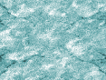xm006597.gif