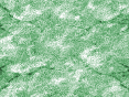 xm006596.gif