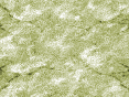 xm006595.gif
