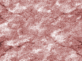 xm006594.gif