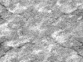 xm006592.gif