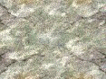 xm006591.gif