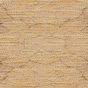 xm006585.gif