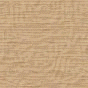 xm006584.gif