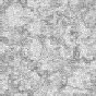 xm006581.gif
