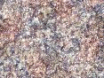 xm006579.gif