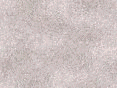 xm006577.gif