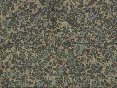 xm006575.gif