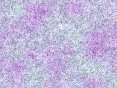 xm006574.gif